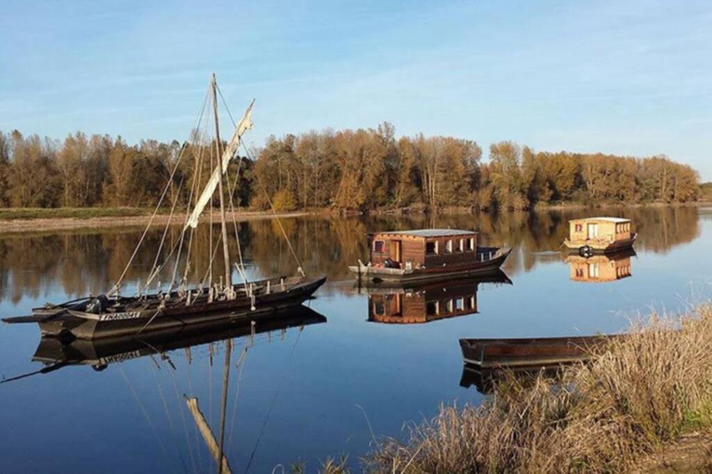 Saint-Dyé-sur-LoireGite La Gabare Entre Loire Et Chambord别墅 外观 照片